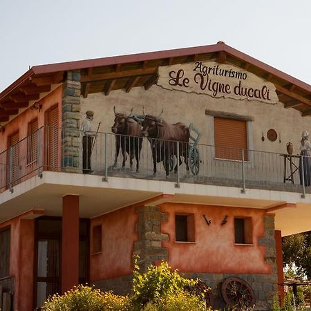 Agriturismo Le Vigne Ducali Mandas Bagian luar foto